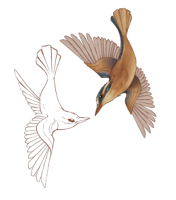 Hearth_Of_Halcyon_Final