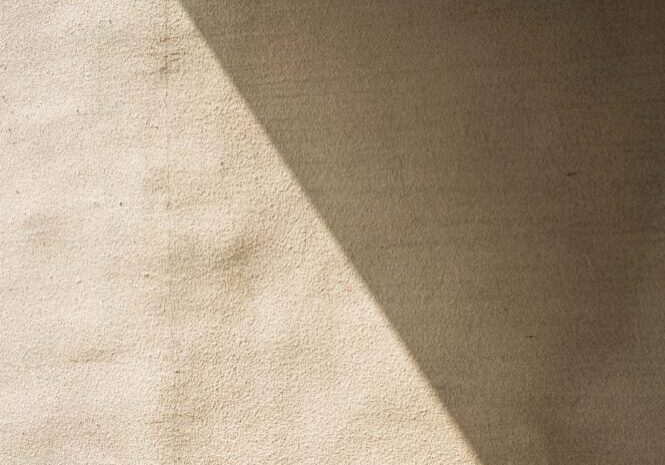 vino-li-55nuS2rUYmQ-unsplash